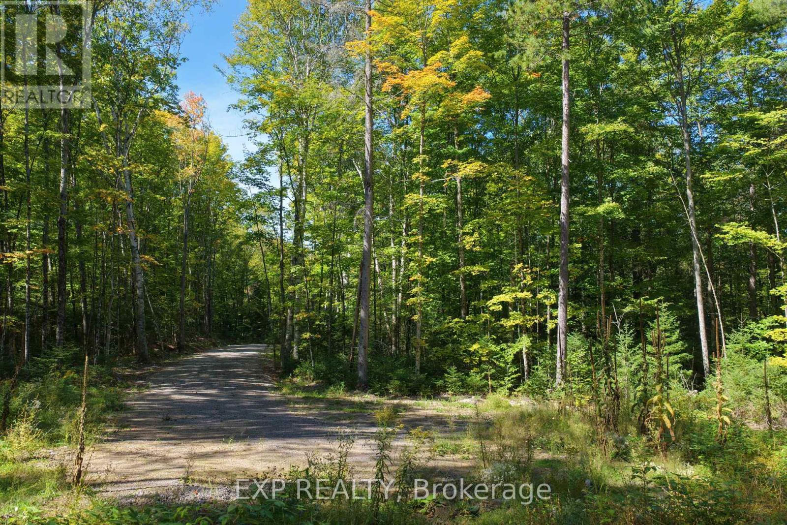 Lot 17 Lakewoods Drive, Madawaska Valley, Ontario K0J 1B0 - Photo 5 - X13079886