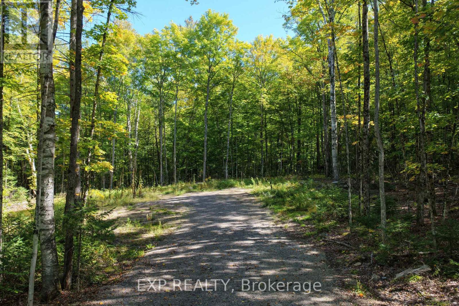 Lot 17 Lakewoods Drive, Madawaska Valley, Ontario K0J 1B0 - Photo 4 - X13079886