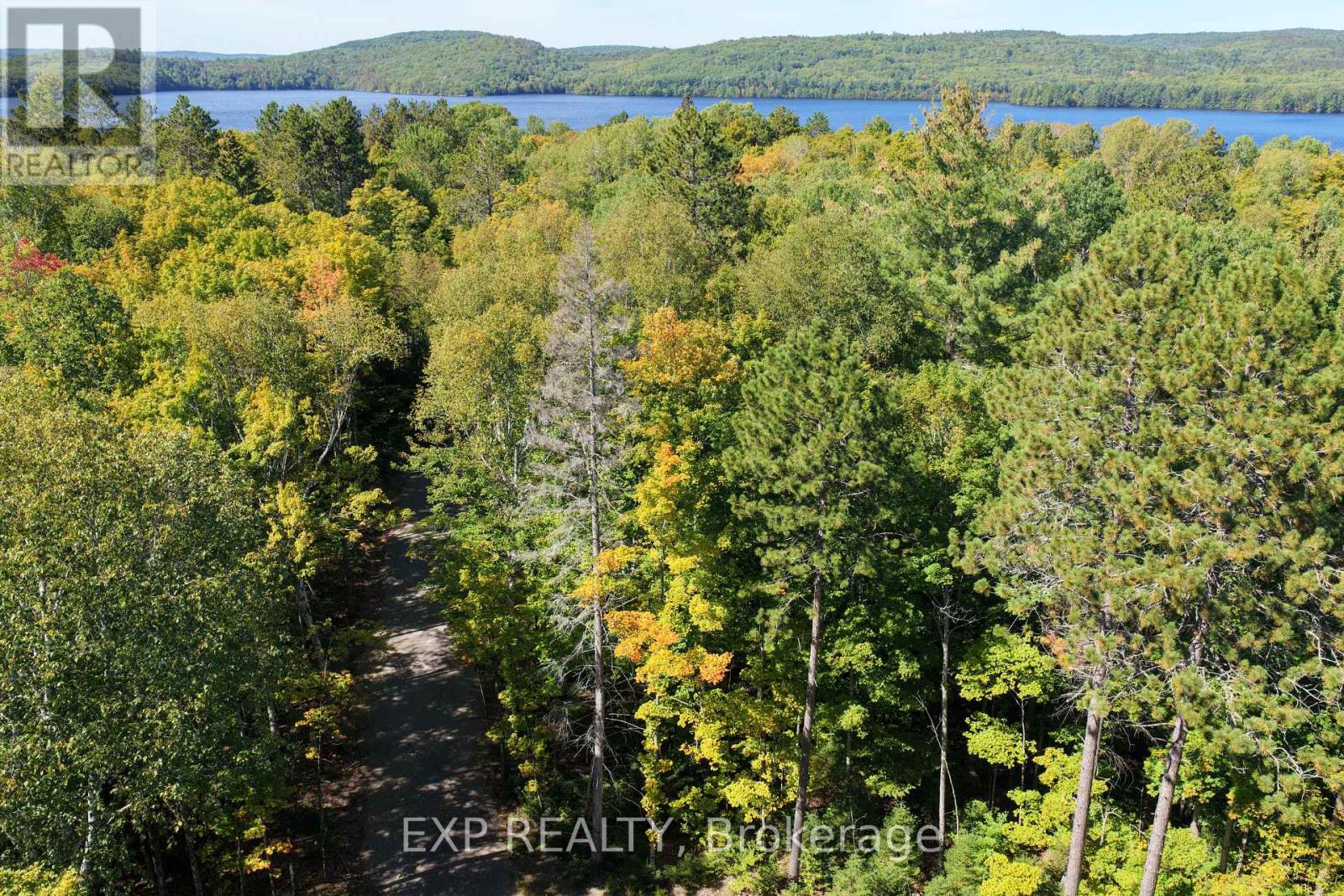 Lot 17 Lakewoods Drive, Madawaska Valley, Ontario K0J 1B0 - Photo 6 - X13079886