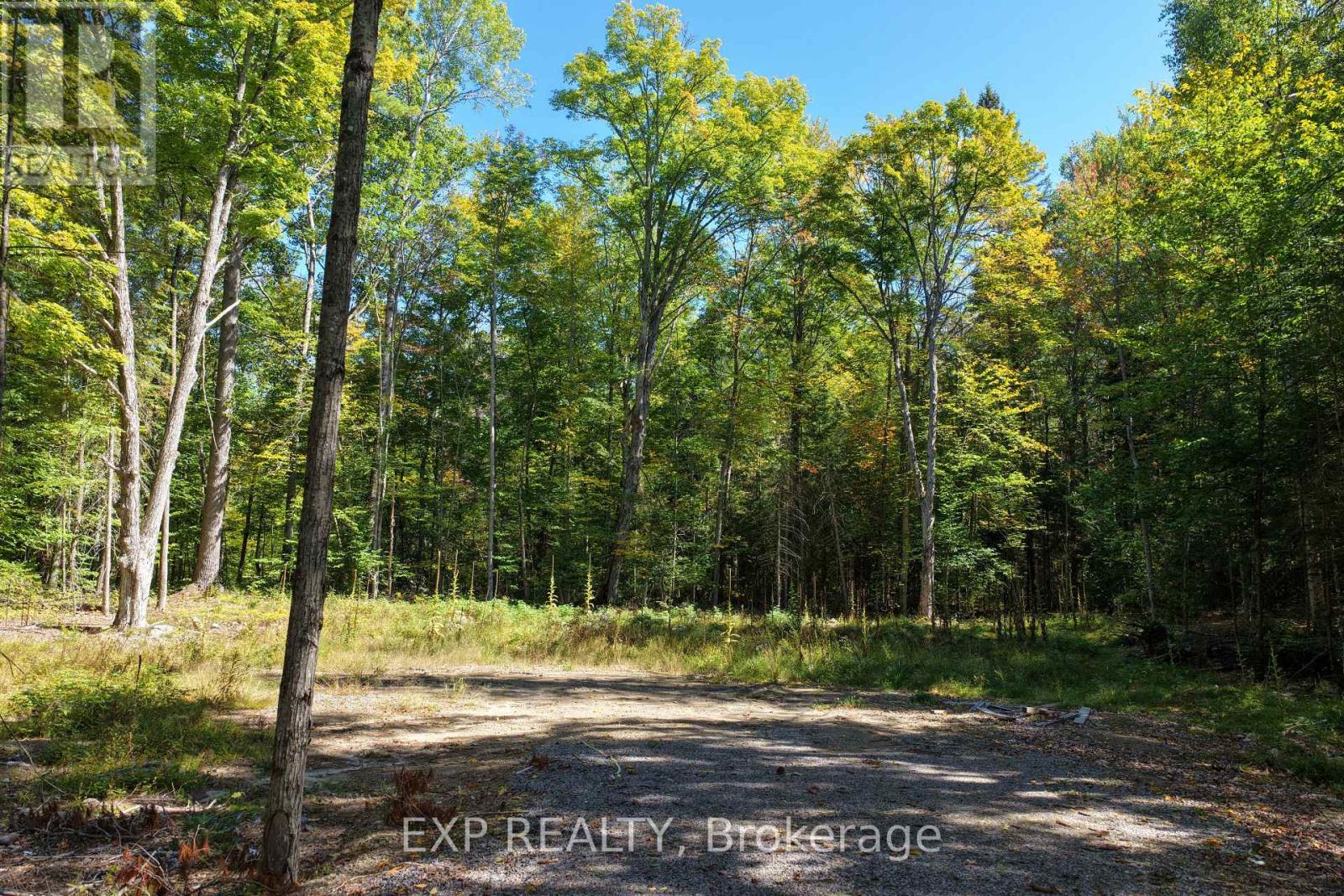 Lot 21 Lakewoods Drive, Madawaska Valley, Ontario K0J 1B0 - Photo 4 - X13079888