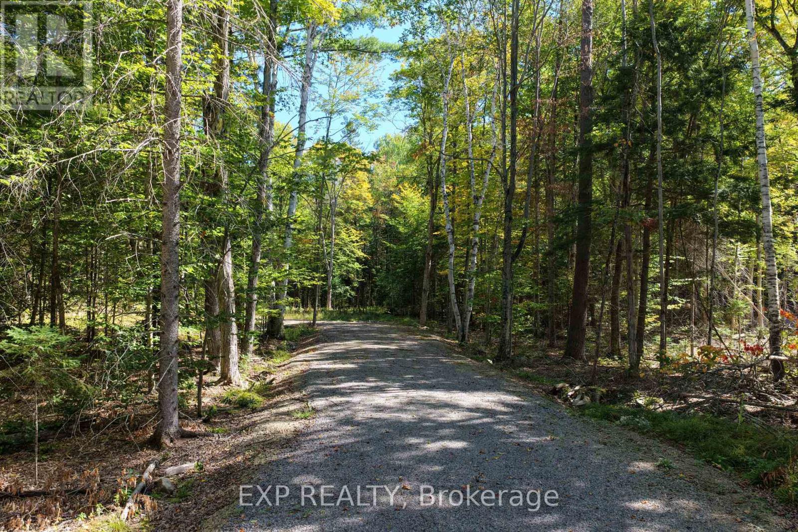 Lot 21 Lakewoods Drive, Madawaska Valley, Ontario K0J 1B0 - Photo 3 - X13079888
