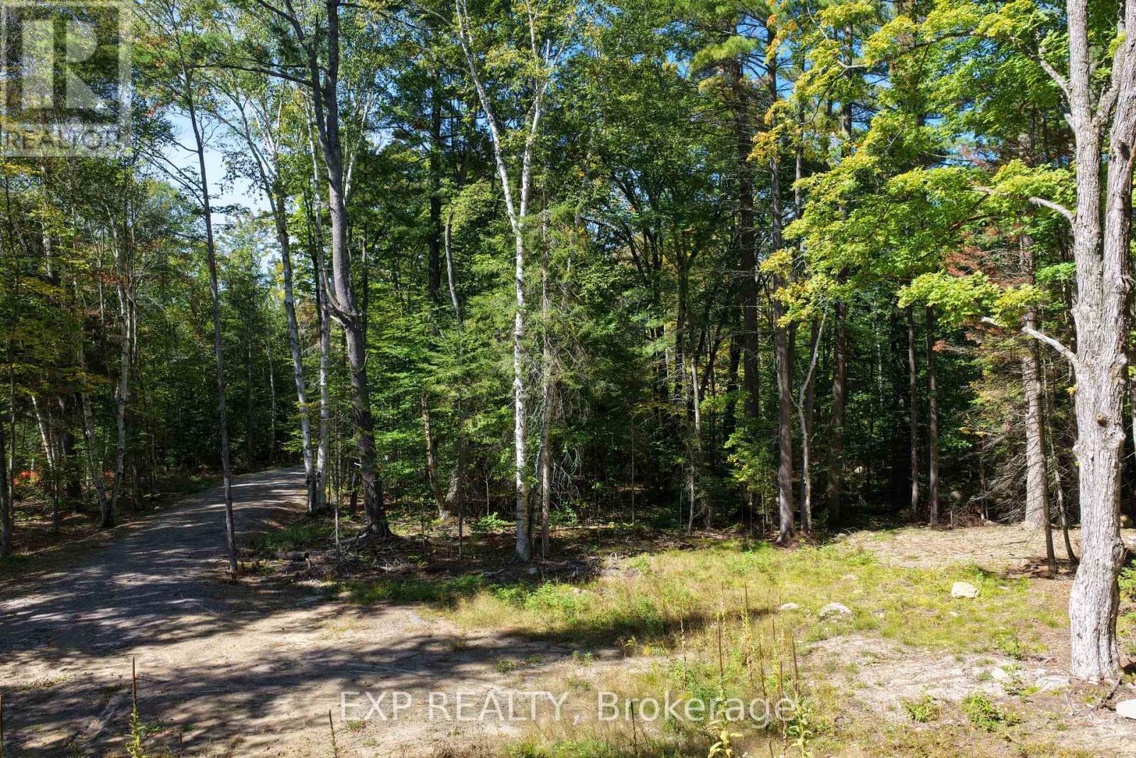 Lot 21 Lakewoods Drive, Madawaska Valley, Ontario K0J 1B0 - Photo 5 - X13079888