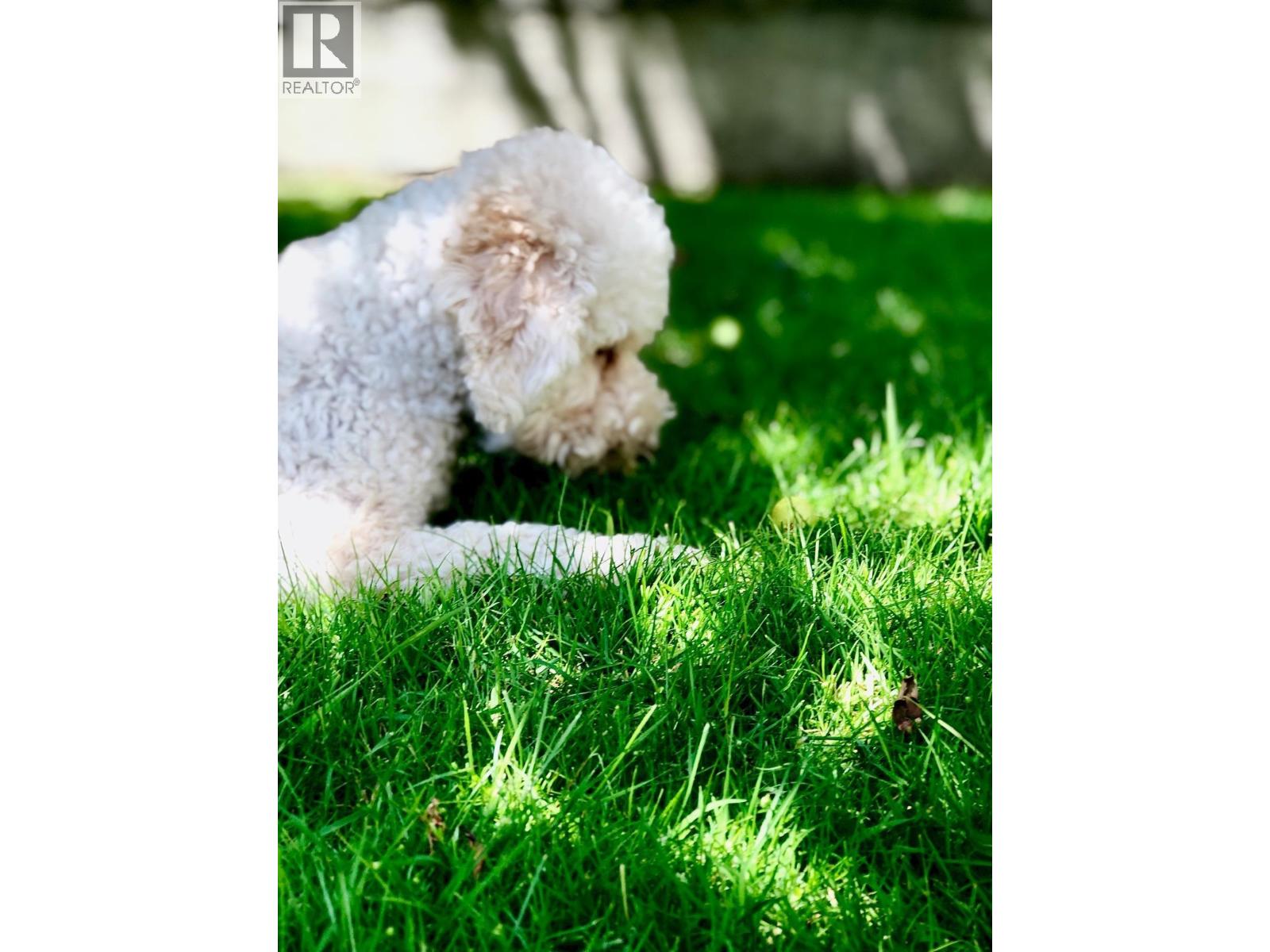 Photo 31