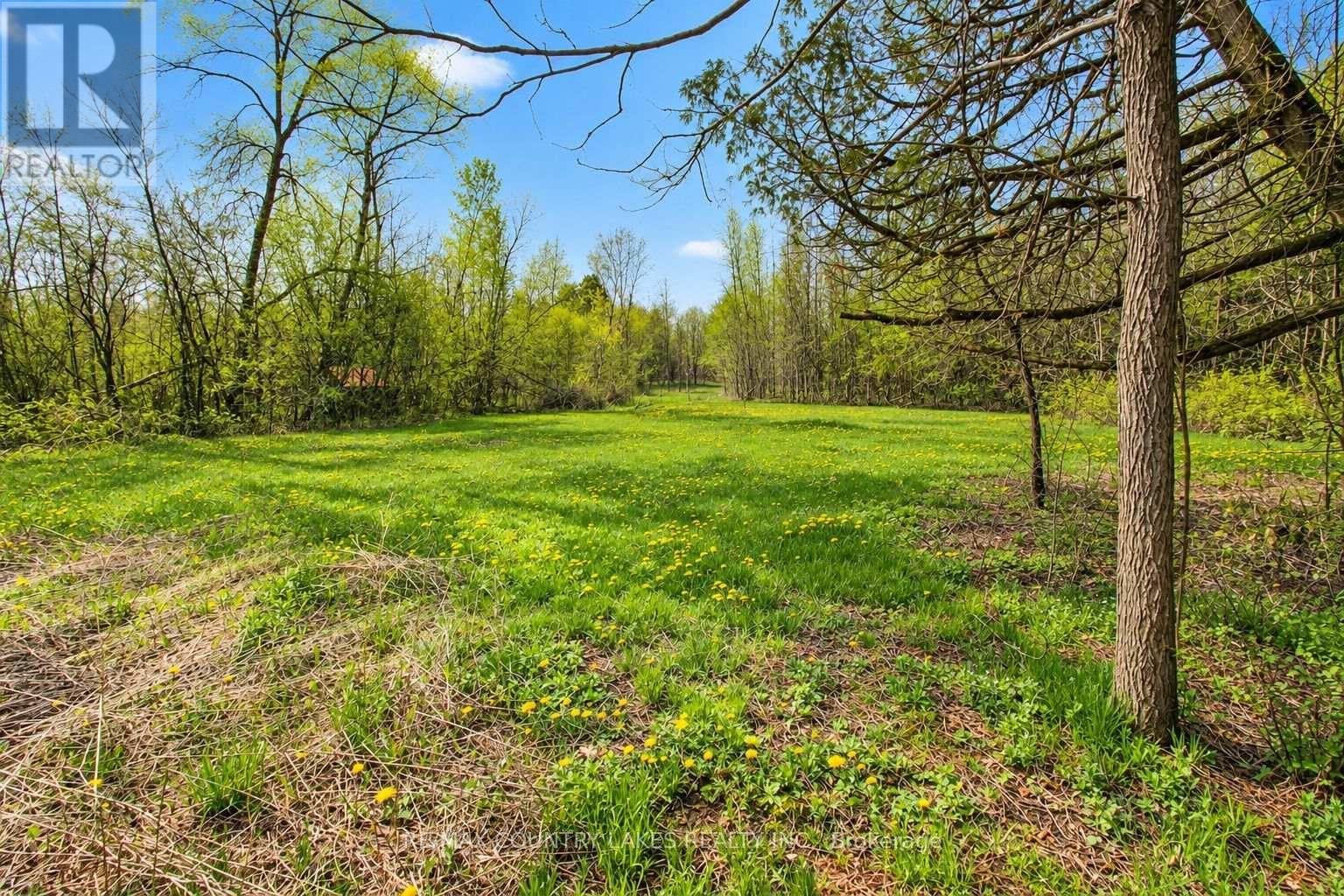 B40440 Shore Road, Brock, Ontario  L0K 1A0 - Photo 38 - N13628552