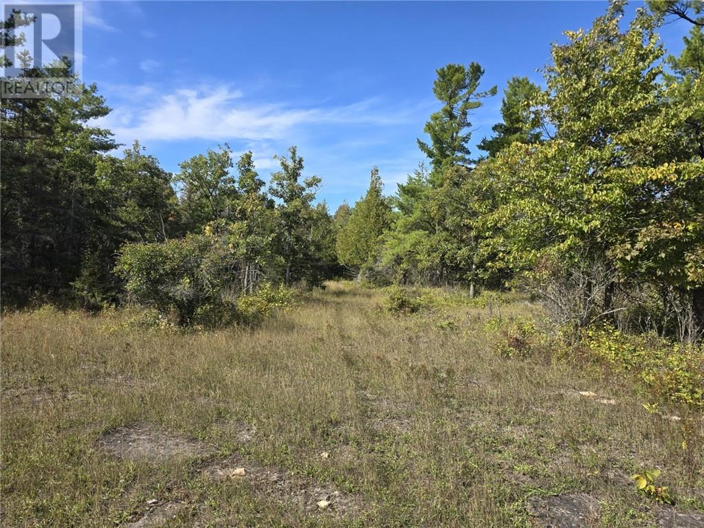 Lt 11-12 Bidwell Rd, Assiginack, Ontario P0P 1N0 - Photo 10 - 2130511