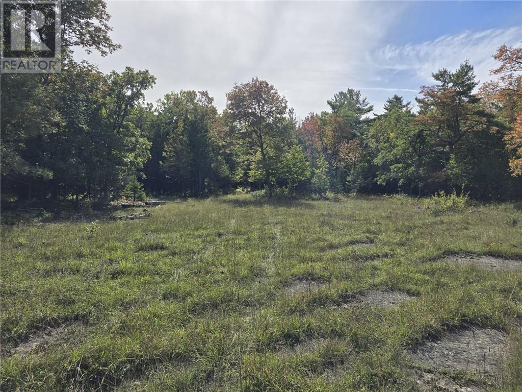 Lt 11-12 Bidwell Rd, Assiginack, Ontario P0P 1N0 - Photo 12 - 2130511