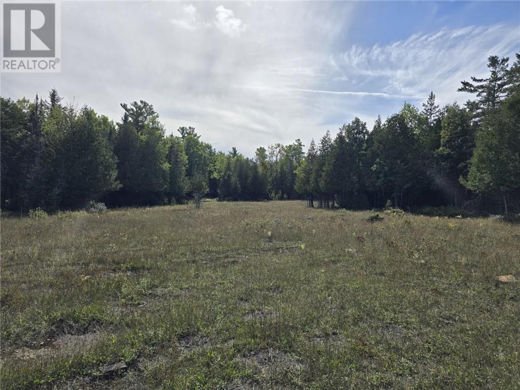 Lt 11-12 Bidwell Rd, Assiginack, Ontario P0P 1N0 - Photo 14 - 2130511
