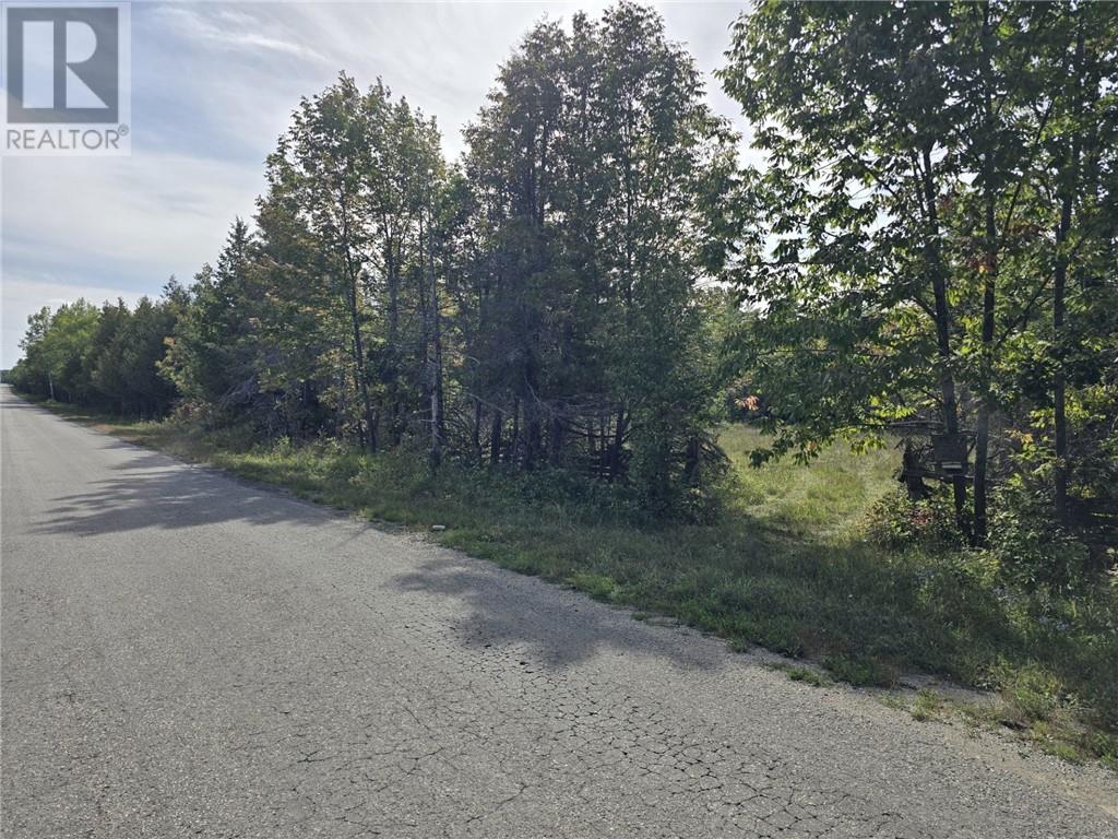 Lt 11-12 Bidwell Rd, Assiginack, Ontario P0P 1N0 - Photo 3 - 2130511