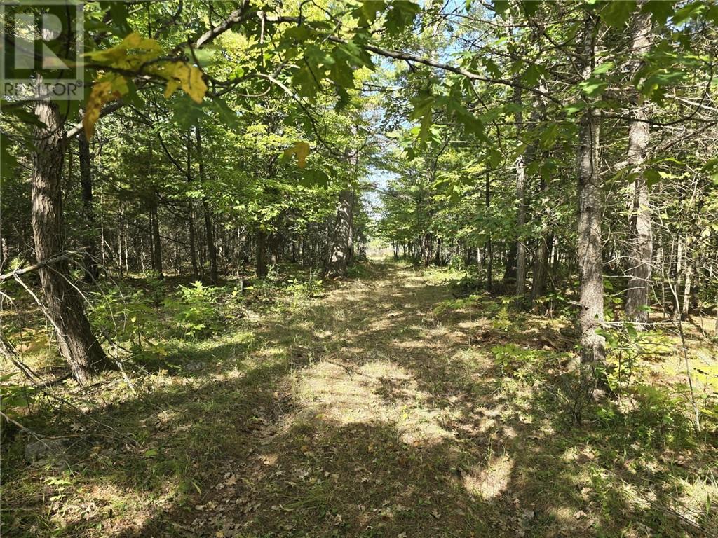 Lt 11-12 Bidwell Rd, Assiginack, Ontario P0P 1N0 - Photo 4 - 2130511