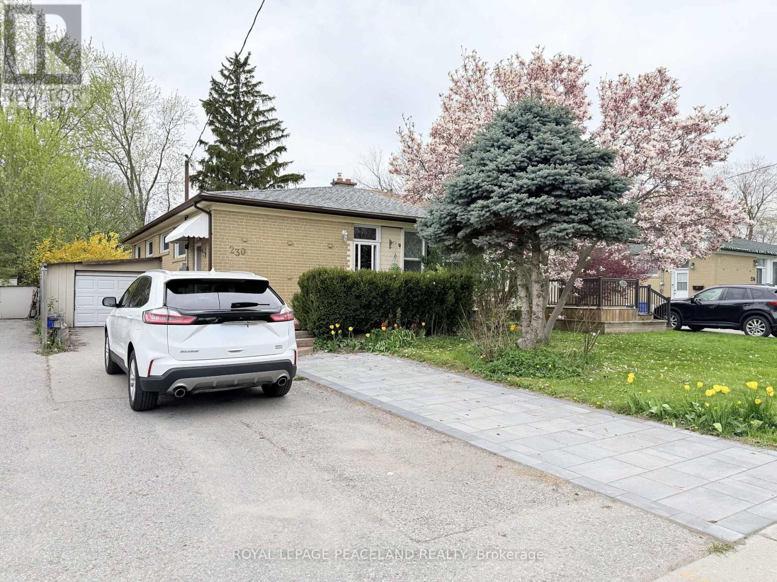 BASEMENT - 230 AXMINSTER DRIVE, richmond hill (crosby), Ontario
