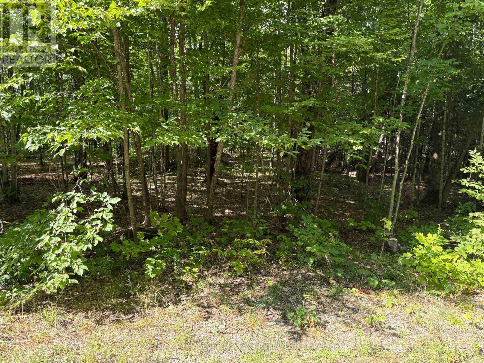 0 Dauncey Road, Magnetawan, Ontario  P0A 1P0 - Photo 10 - X13231862