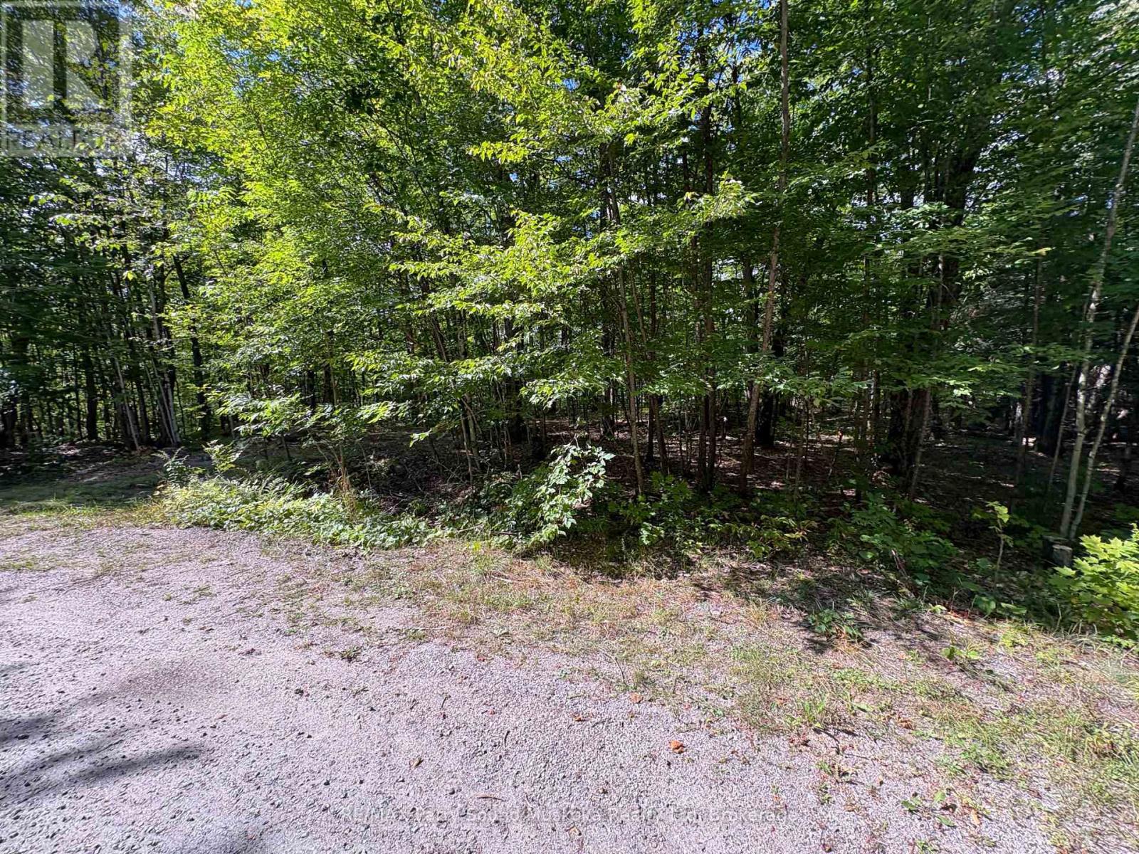 0 Dauncey Road, Magnetawan, Ontario  P0A 1P0 - Photo 2 - X13231862