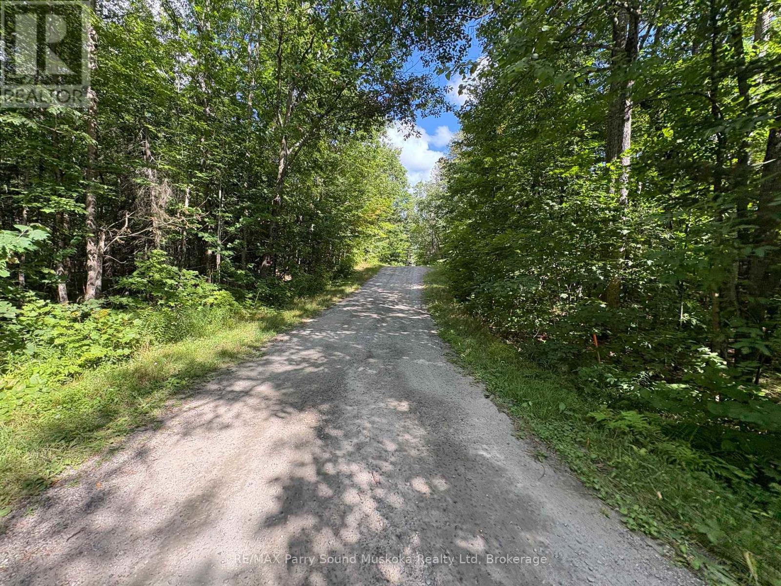 0 Dauncey Road, Magnetawan, Ontario  P0A 1P0 - Photo 4 - X13231862