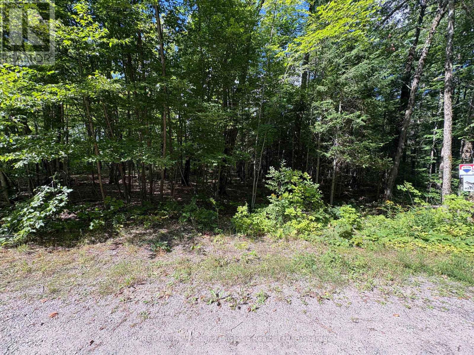 0 Dauncey Road, Magnetawan, Ontario  P0A 1P0 - Photo 3 - X13231862