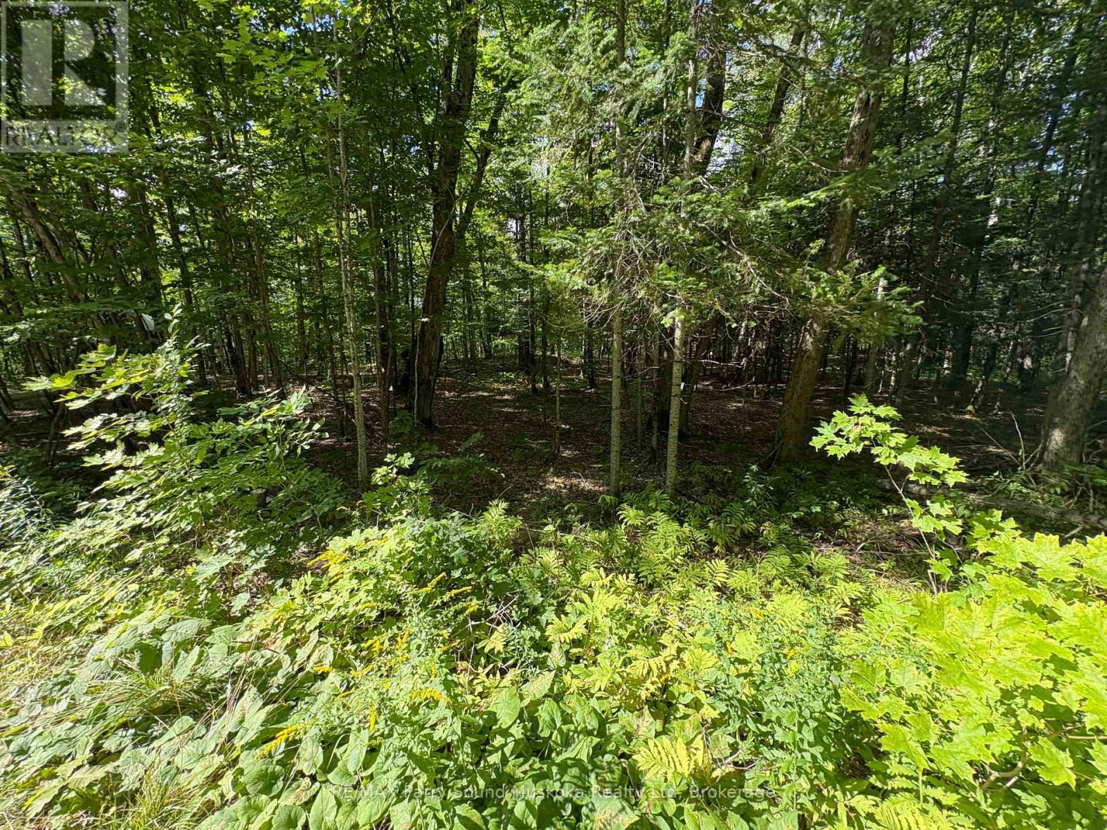 0 Dauncey Road, Magnetawan, Ontario  P0A 1P0 - Photo 7 - X13231862
