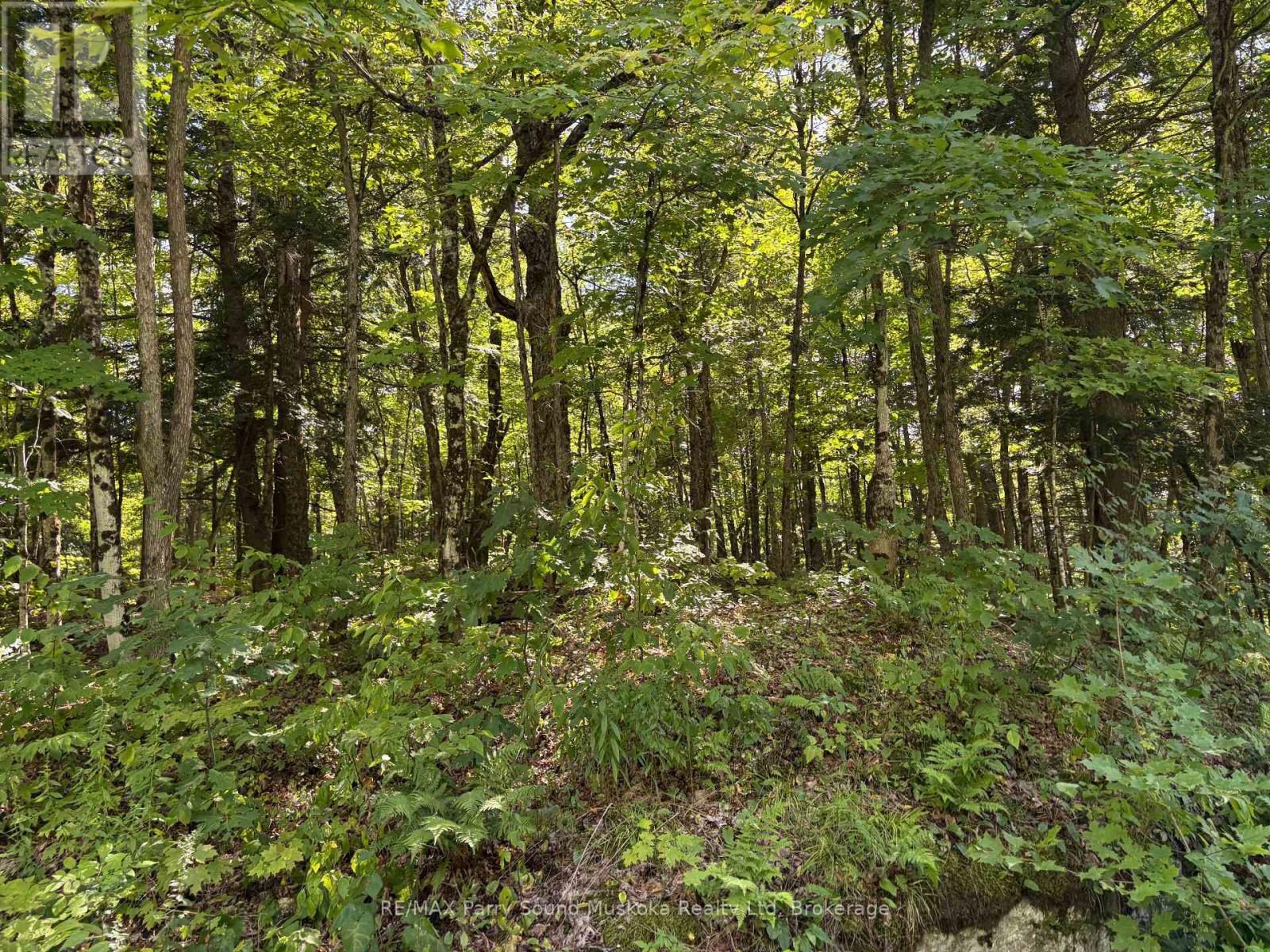 0 Ahmic Lake Road, Magnetawan, Ontario  P0A 1P0 - Photo 15 - X13231888