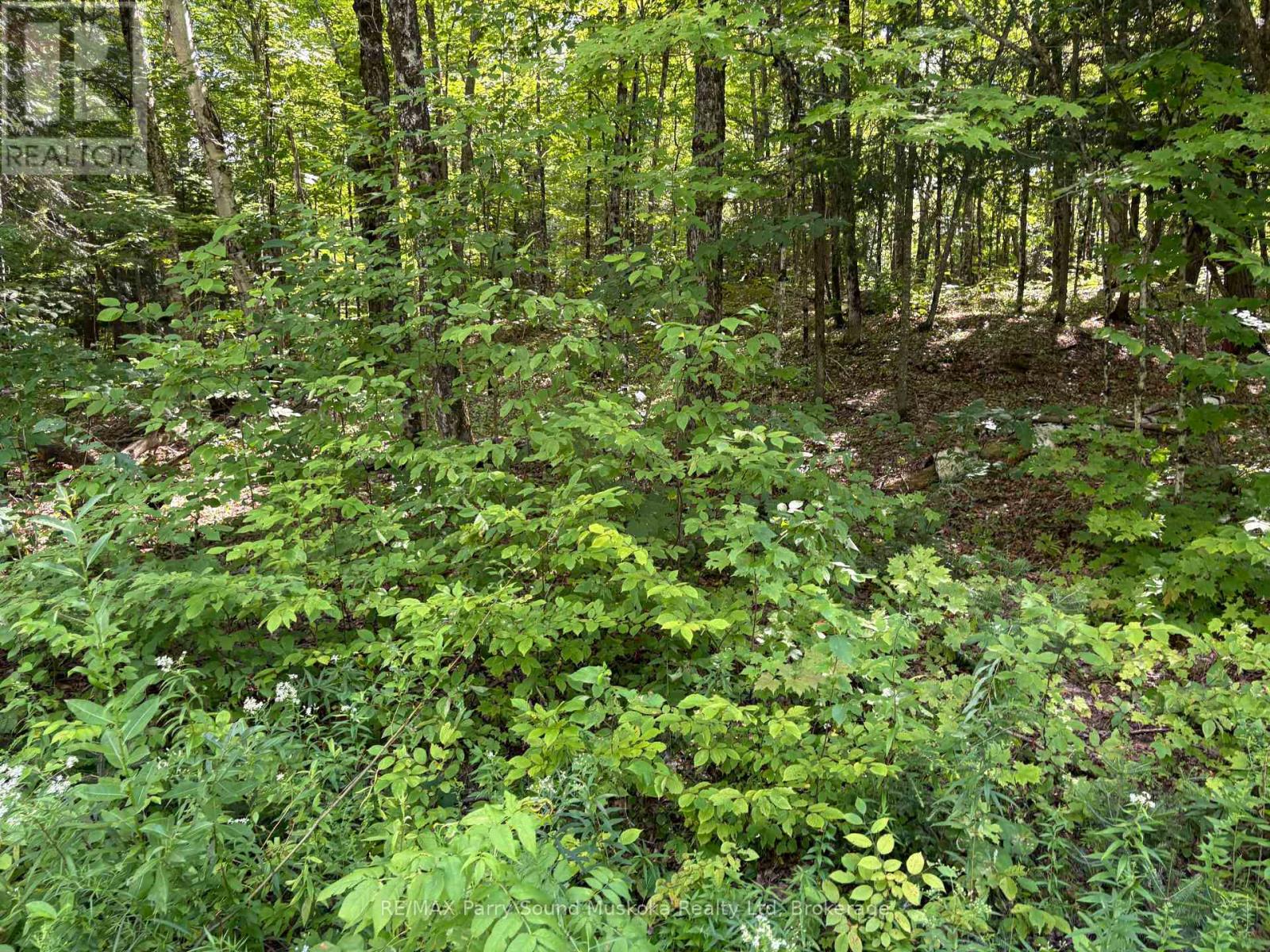 0 Ahmic Lake Road, Magnetawan, Ontario  P0A 1P0 - Photo 12 - X13231888