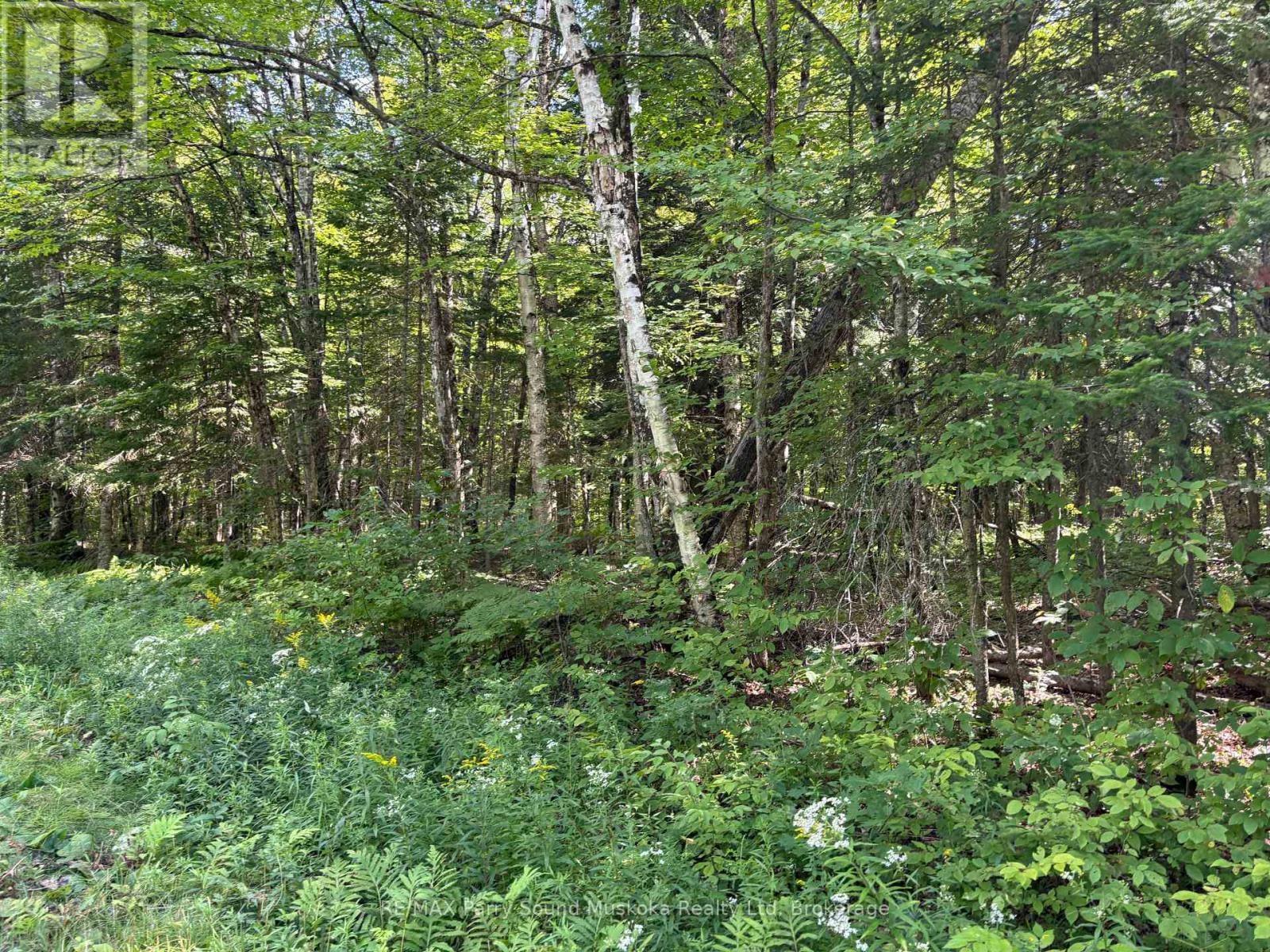 0 Ahmic Lake Road, Magnetawan, Ontario  P0A 1P0 - Photo 10 - X13231888