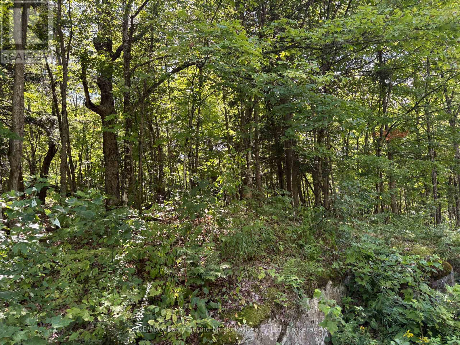 0 Ahmic Lake Road, Magnetawan, Ontario  P0A 1P0 - Photo 13 - X13231888