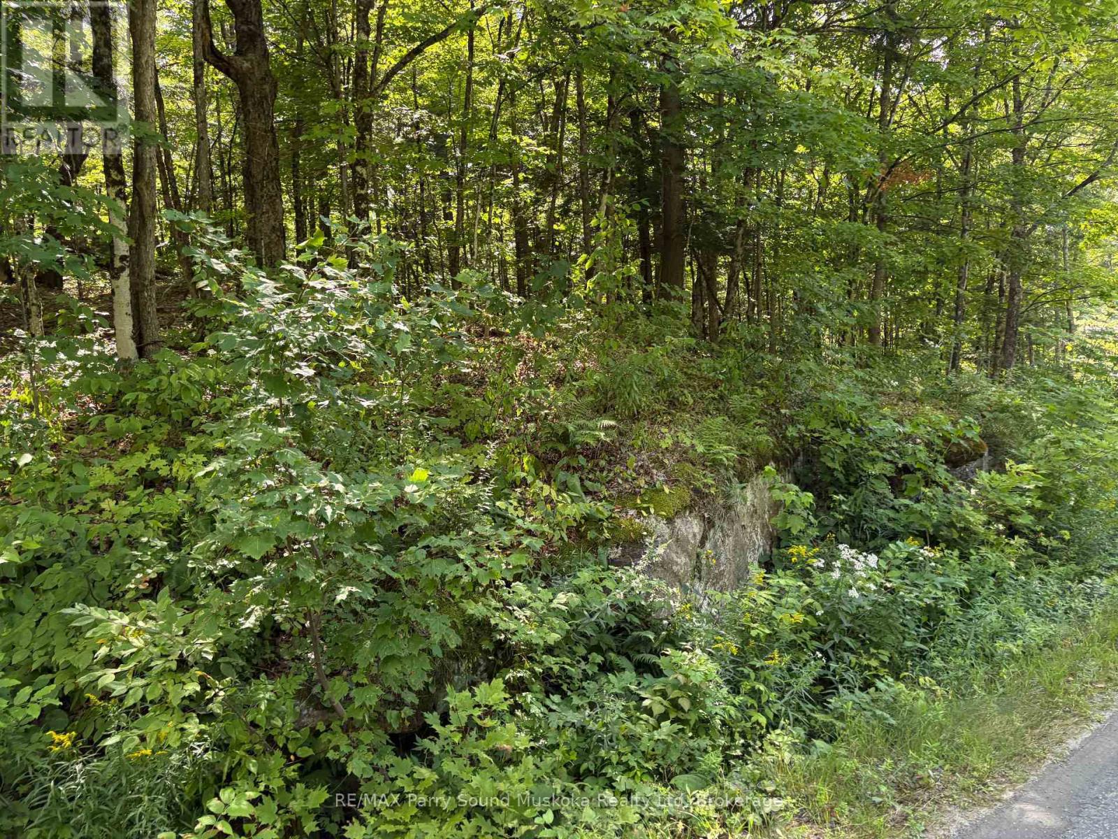 0 Ahmic Lake Road, Magnetawan, Ontario  P0A 1P0 - Photo 11 - X13231888