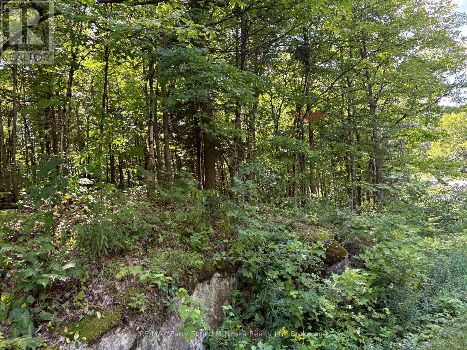 0 Ahmic Lake Road, Magnetawan, Ontario  P0A 1P0 - Photo 14 - X13231888