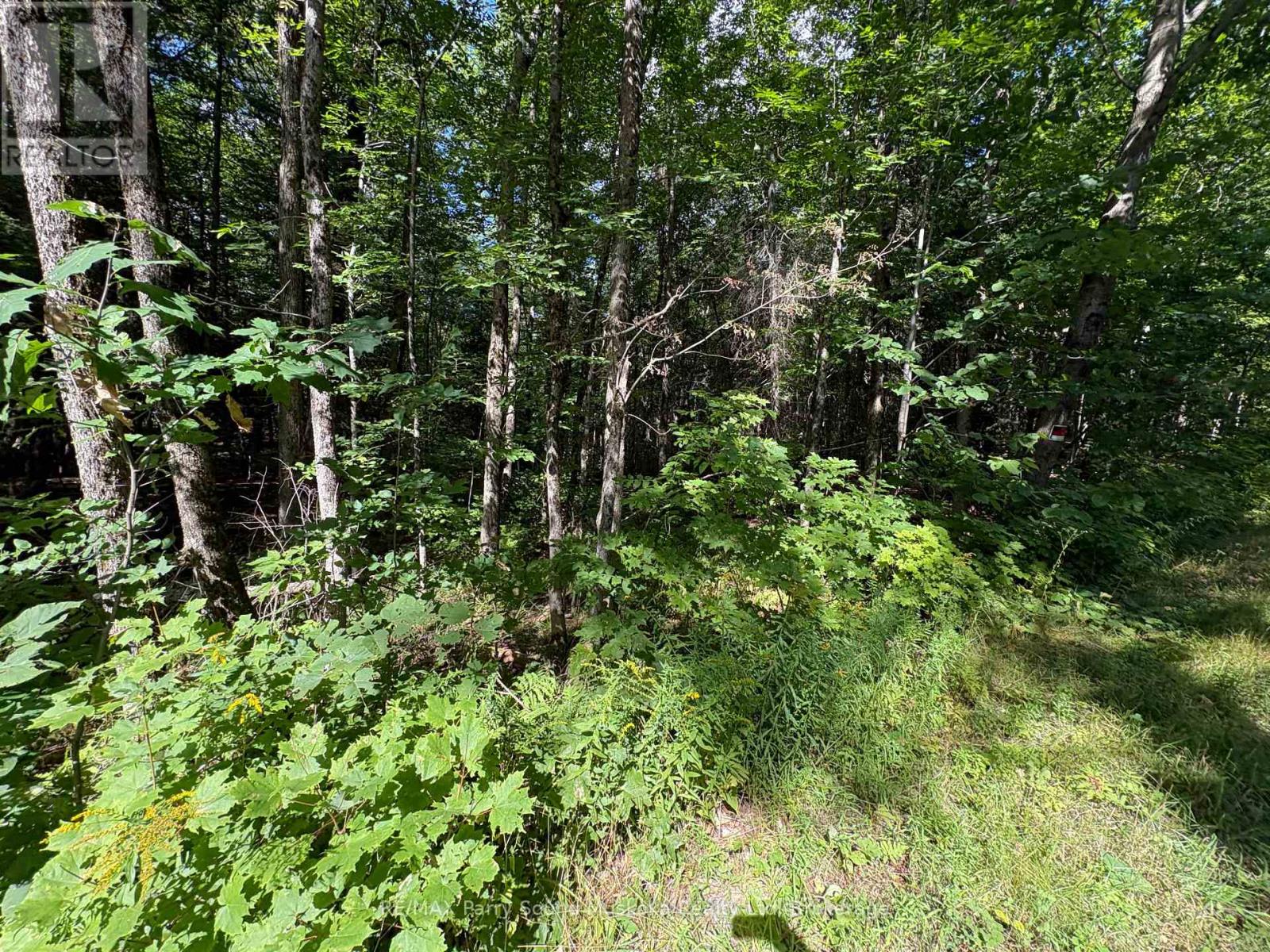 0 Dauncey Road, Magnetawan, Ontario  P0A 1P0 - Photo 6 - X13231862