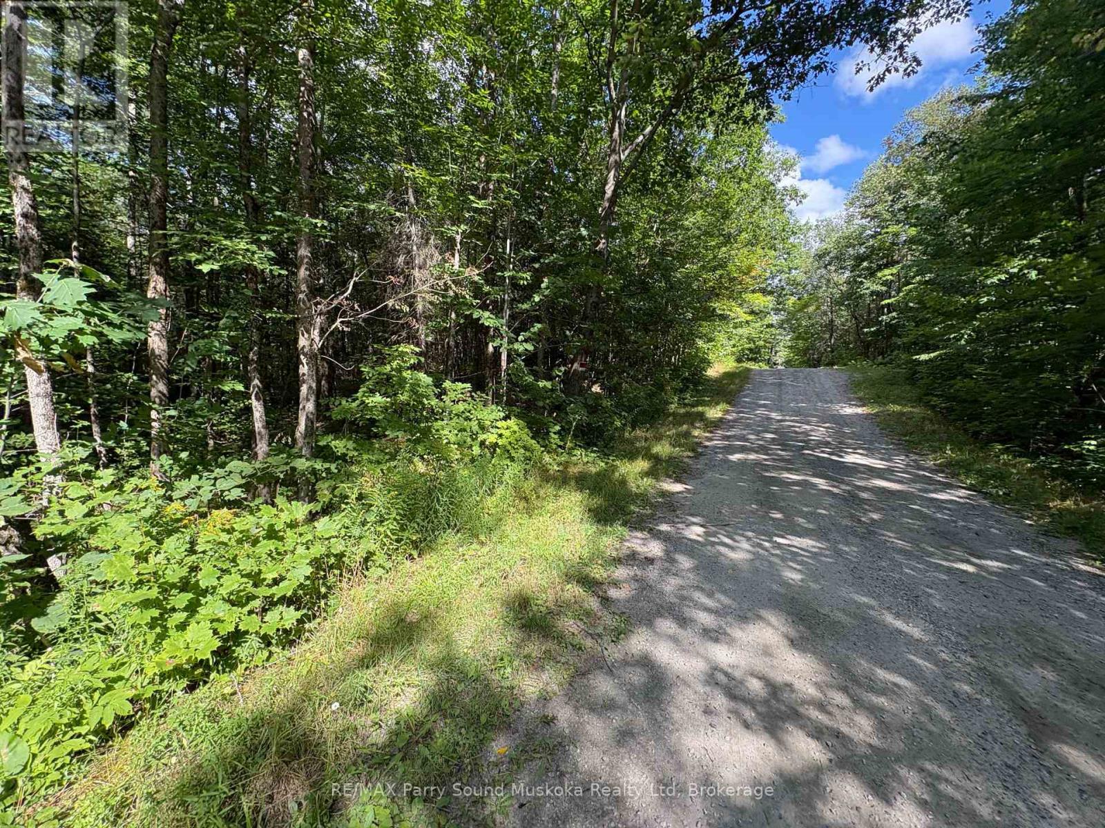 0 Dauncey Road, Magnetawan, Ontario  P0A 1P0 - Photo 5 - X13231862