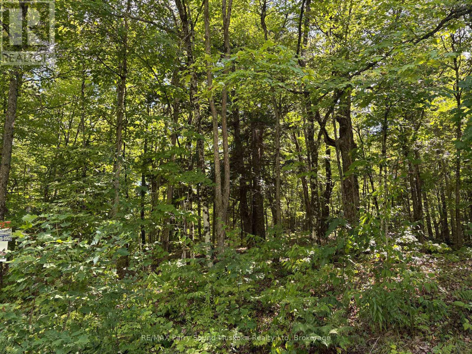 0 Ahmic Lake Road, Magnetawan, Ontario  P0A 1P0 - Photo 16 - X13231888