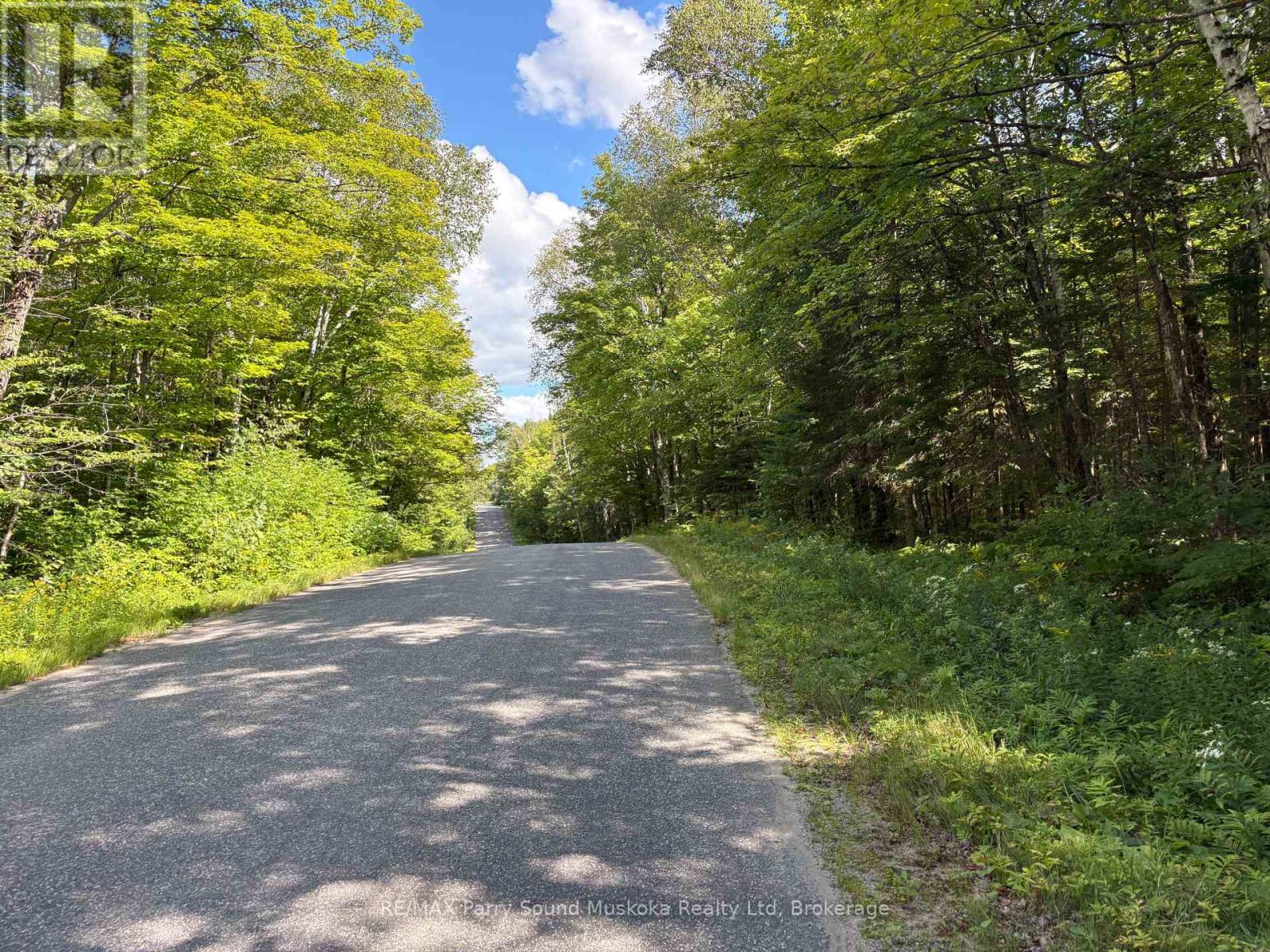 0 Ahmic Lake Road, Magnetawan, Ontario  P0A 1P0 - Photo 5 - X13231888