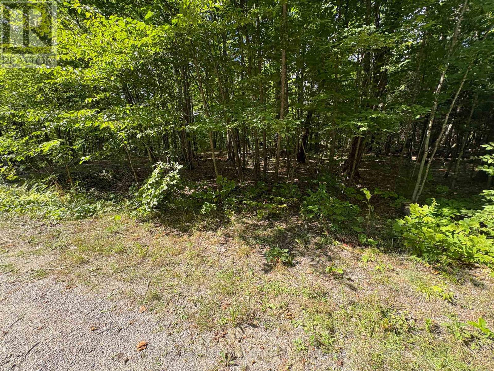 0 Ahmic Lake Road, Magnetawan, Ontario  P0A 1P0 - Photo 3 - X13231888