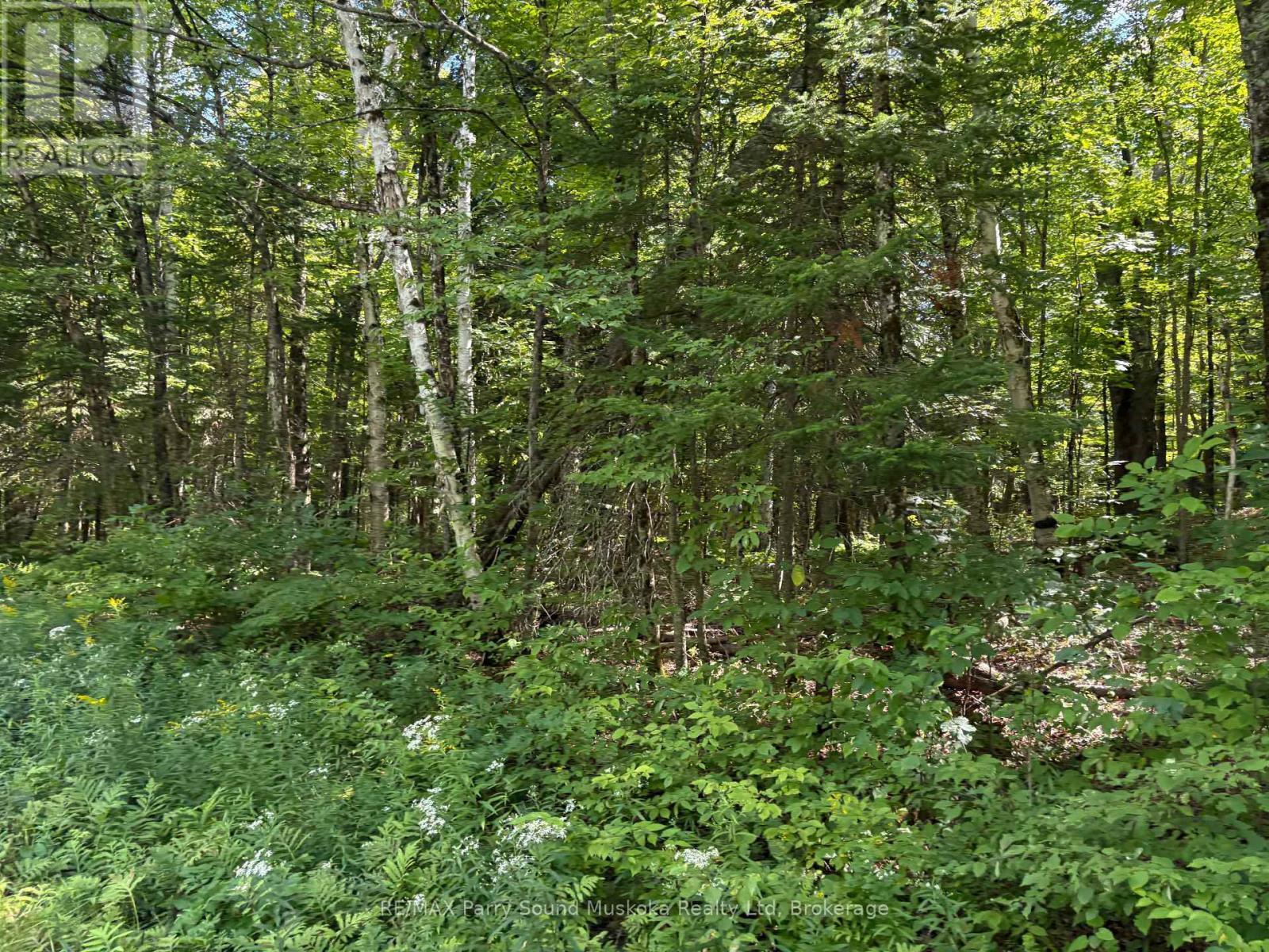 0 Ahmic Lake Road, Magnetawan, Ontario  P0A 1P0 - Photo 7 - X13231888