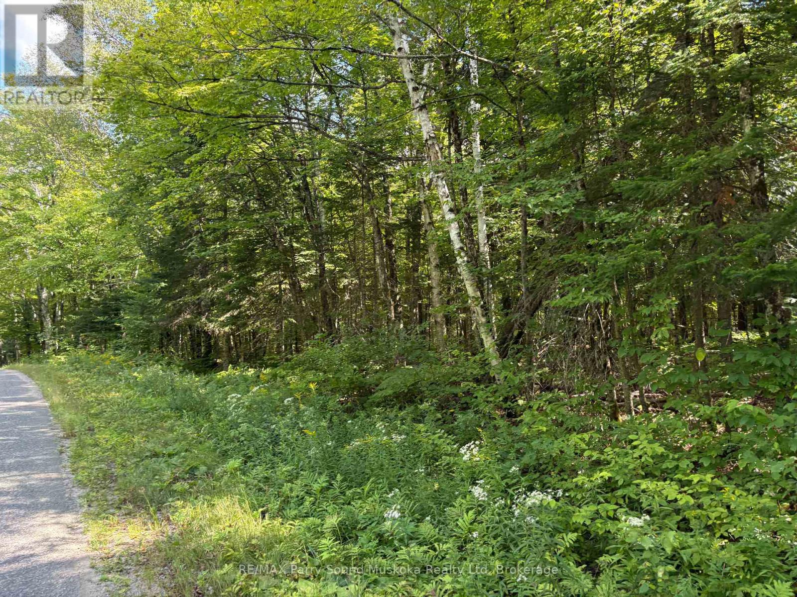 0 Ahmic Lake Road, Magnetawan, Ontario  P0A 1P0 - Photo 6 - X13231888
