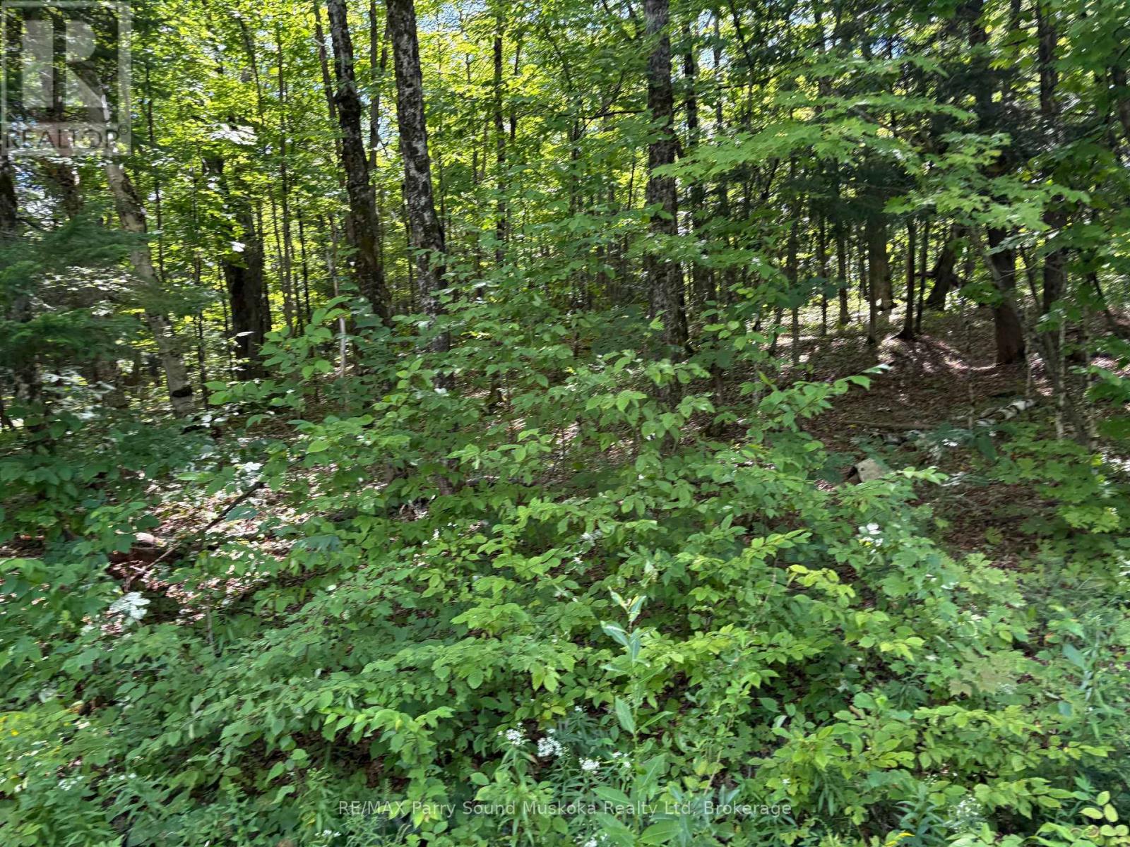 0 Ahmic Lake Road, Magnetawan, Ontario  P0A 1P0 - Photo 8 - X13231888