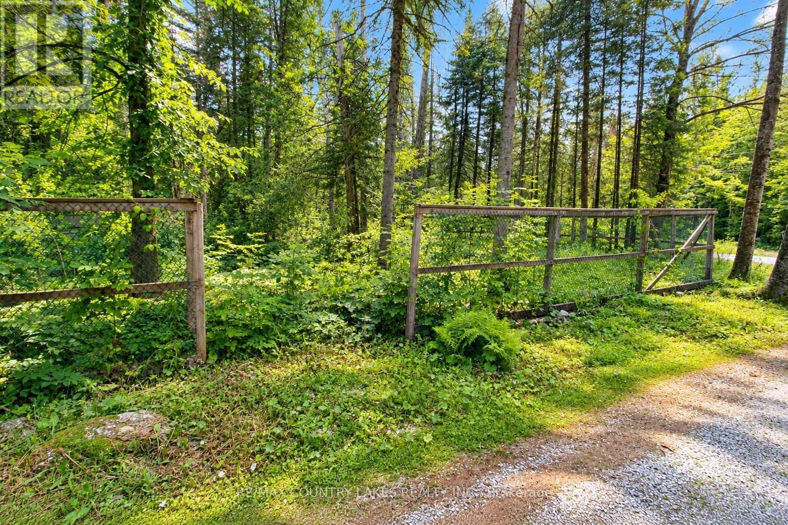 176 Maritime Road, Kawartha Lakes, Ontario  K0M 2B0 - Photo 32 - X13808704