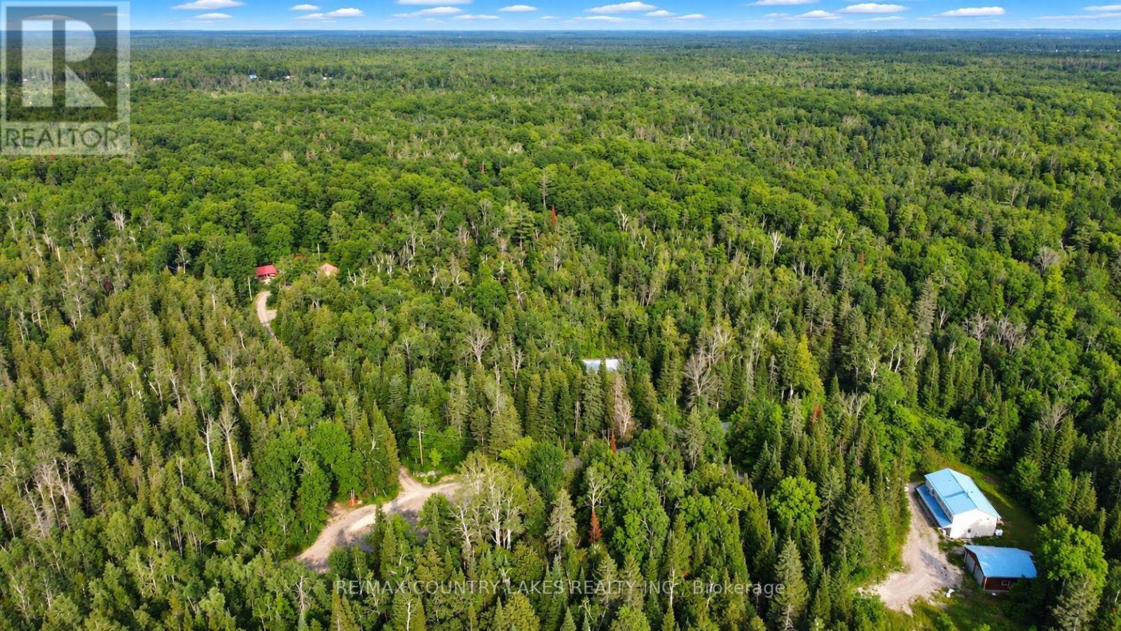 176 Maritime Road, Kawartha Lakes, Ontario  K0M 2B0 - Photo 38 - X13808704
