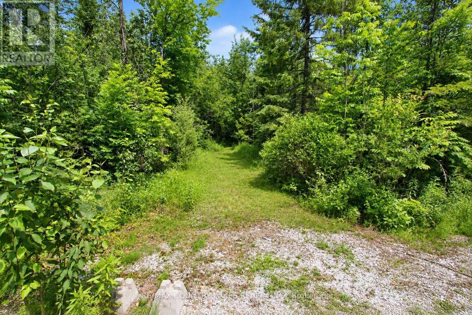 176 Maritime Road, Kawartha Lakes, Ontario  K0M 2B0 - Photo 41 - X13808704