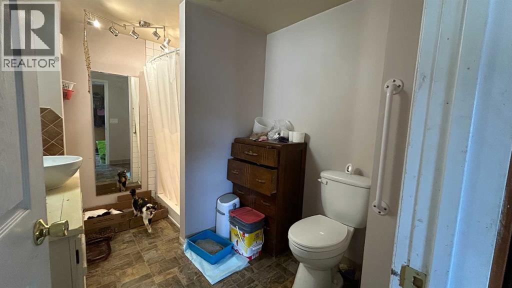 27039 Range Road 173, Dorothy, Alberta  T0J 0X0 - Photo 31 - A2344211