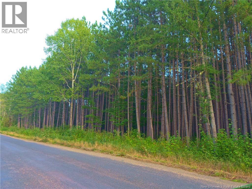 1030 Cox Point Road, Cumberland Bay, New Brunswick  E4A 2Y8 - Photo 13 - NB147176