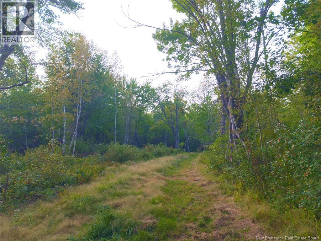 1030 Cox Point Road, Cumberland Bay, New Brunswick  E4A 2Y8 - Photo 15 - NB147176