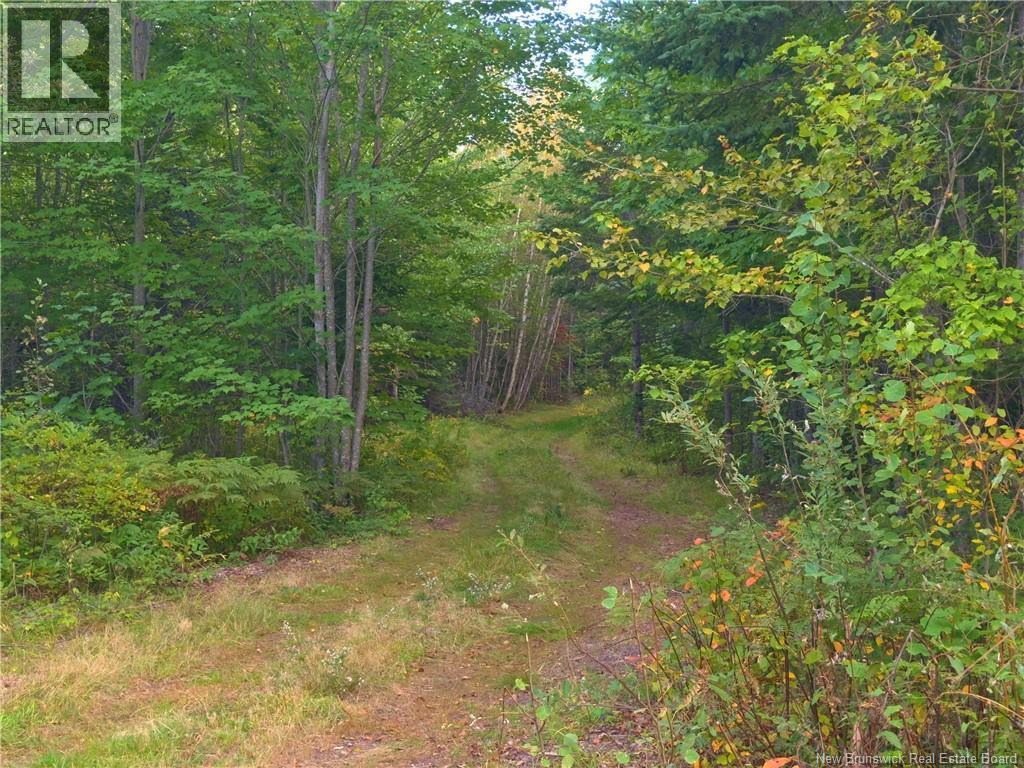 1030 Cox Point Road, Cumberland Bay, New Brunswick  E4A 2Y8 - Photo 16 - NB147176