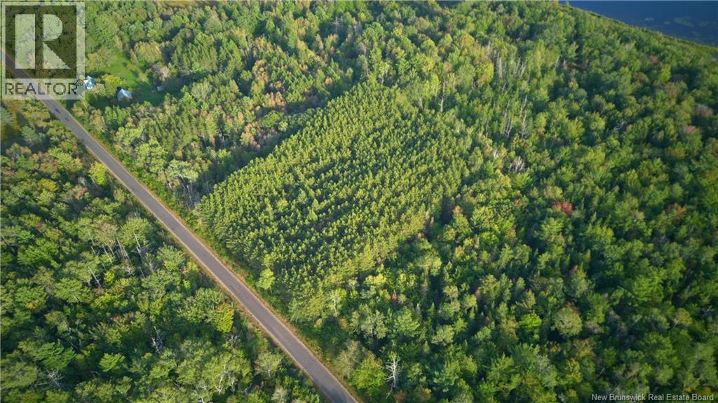 1030 Cox Point Road, Cumberland Bay, New Brunswick  E4A 2Y8 - Photo 17 - NB147176