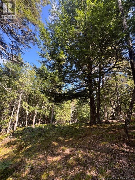 342 Tripp Settlement Road, Keswick Ridge, New Brunswick  E6L 1W5 - Photo 5 - NB148301