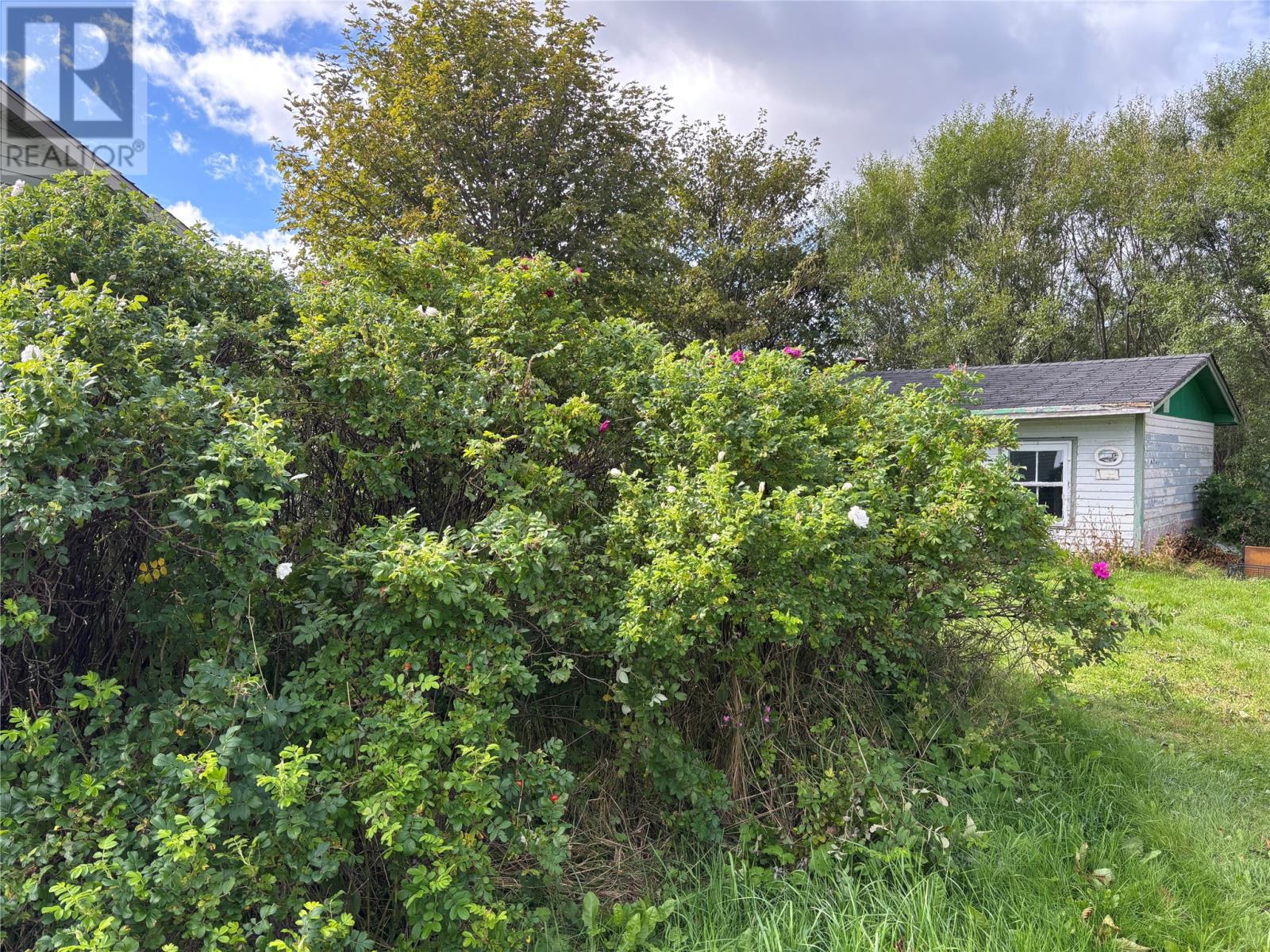 3 Robbins Road, Caplin Cove, Newfoundland & Labrador  A0A 1R0 - Photo 32 - 1303490