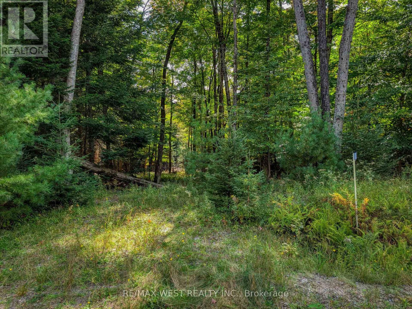 131 Deerfoot Trail, Huntsville, Ontario  P1H 0A8 - Photo 2 - X13812912