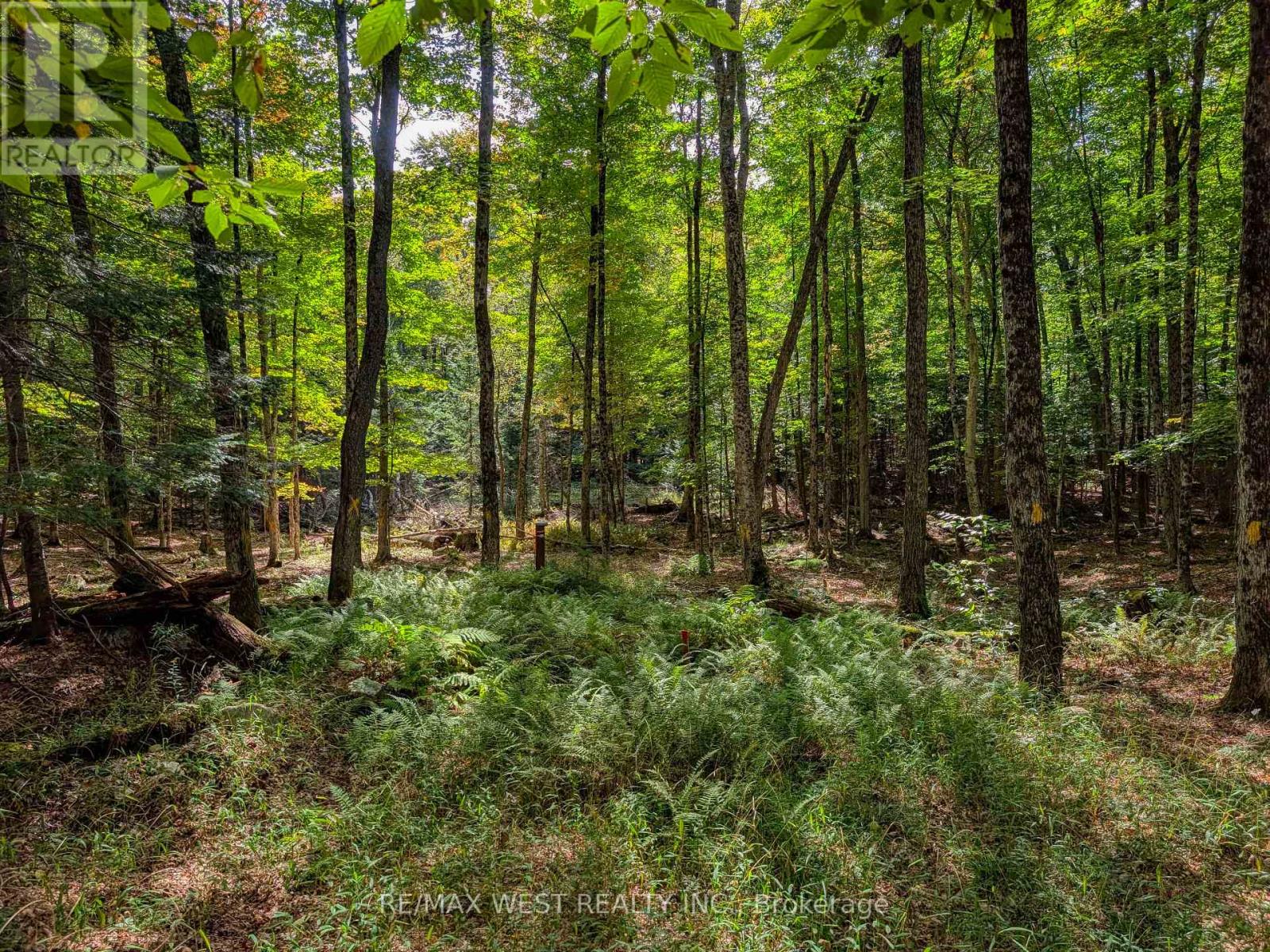131 Deerfoot Trail, Huntsville, Ontario  P1H 0A8 - Photo 3 - X13812912