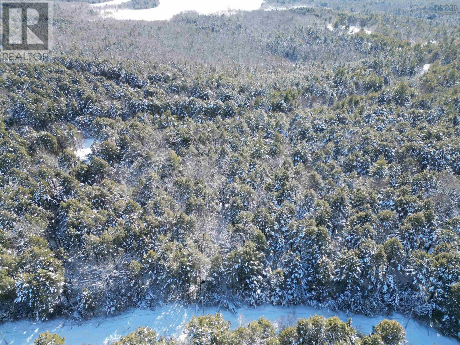 Lot 22 Peters Drive, Upper Ohio, Nova Scotia B0T 1W0 - Photo 3 - 202603056