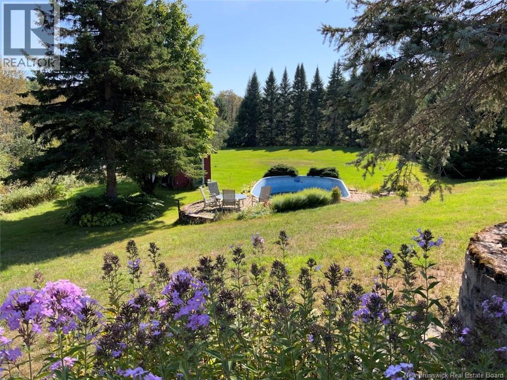 163 Ruisseau Richard Road photo 30
