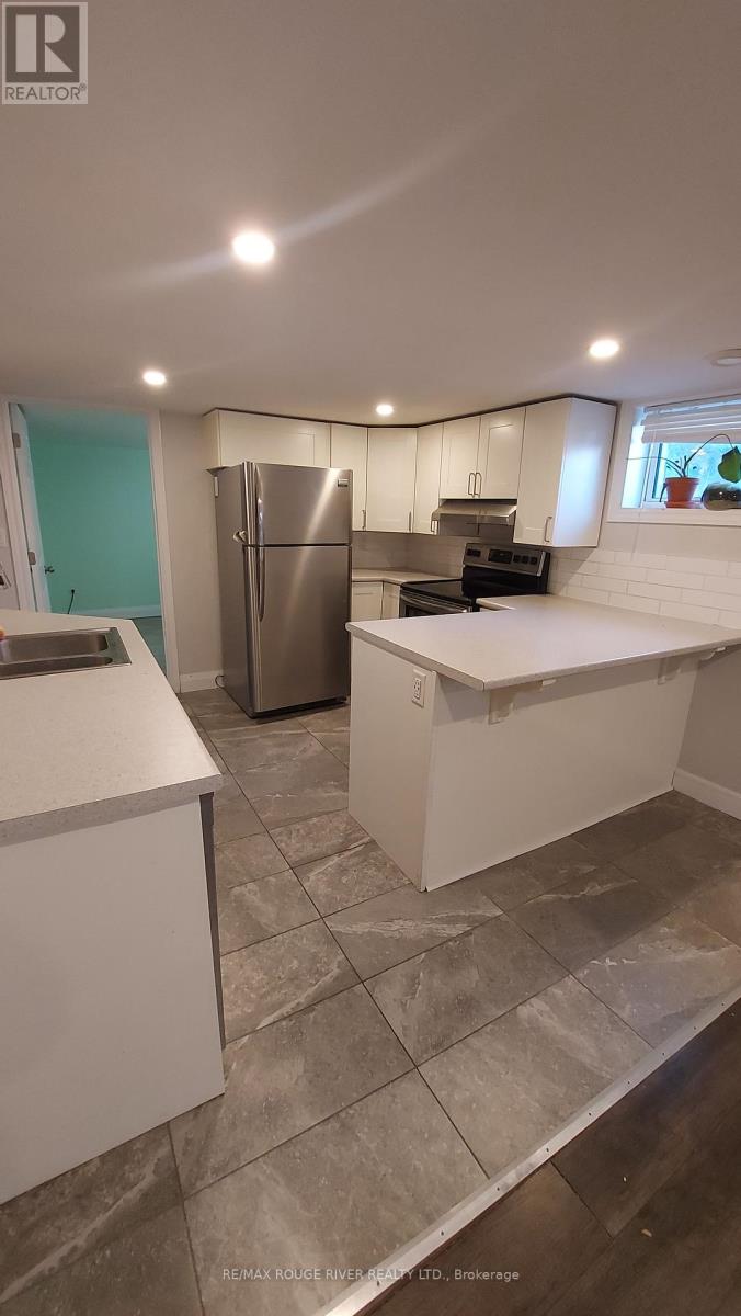 Bsmt - 509 Adelaide Avenue W, Oshawa, Ontario  L1J 2J2 - Photo 10 - E13813224
