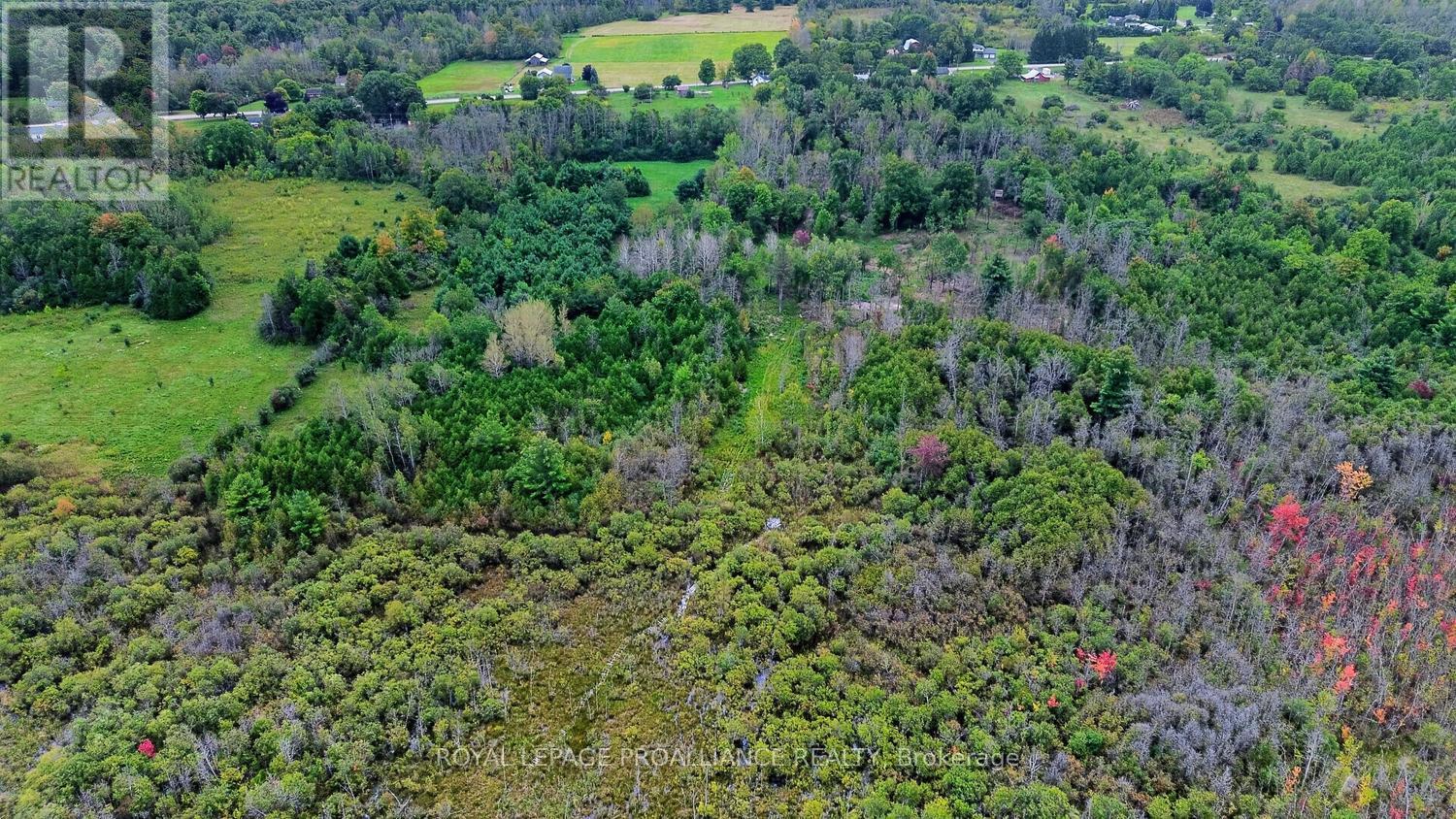 2696 Mcintosh Road, Augusta, Ontario  K0E 1T0 - Photo 33 - X13812156