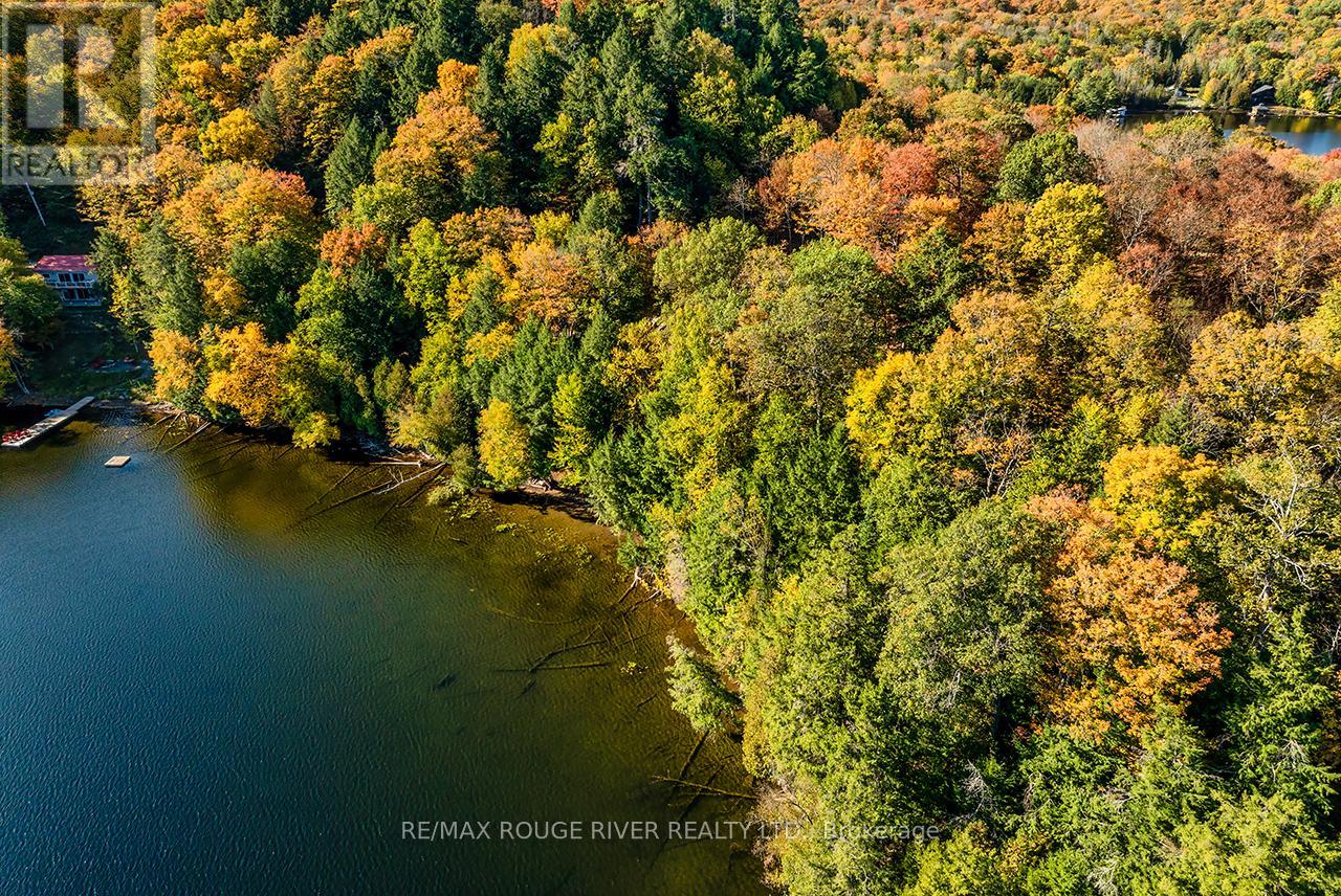 0 Thompson Portage Road, Lake Of Bays, Ontario  P0A 1H0 - Photo 10 - X13537826